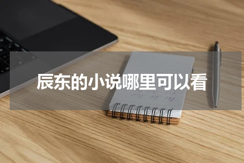 辰东的小说哪里可以看