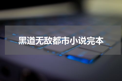 黑道无敌都市小说完本