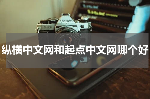 纵横中文网和起点中文网哪个好