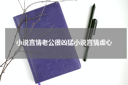 小说言情老公很凶猛小说言情虐心