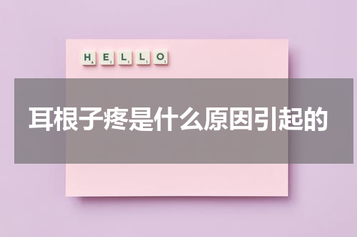 耳根子疼是什么原因引起的