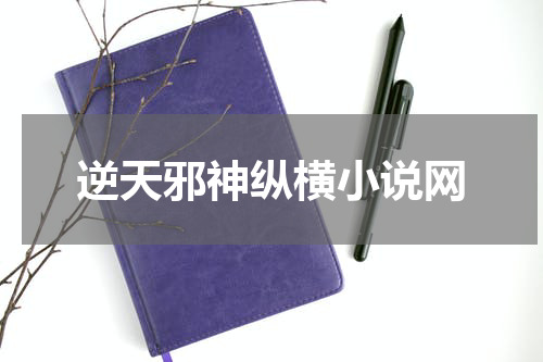 逆天邪神纵横小说网