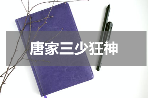 唐家三少狂神