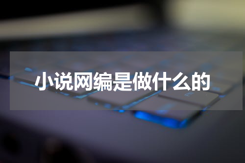 小说网编是做什么的
