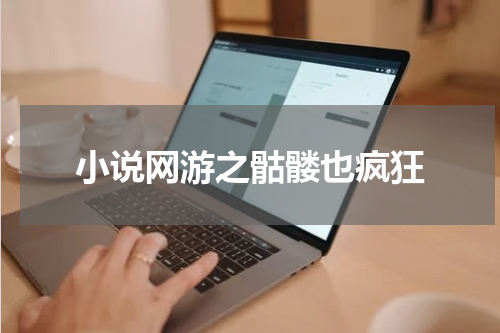 小说网游之骷髅也疯狂