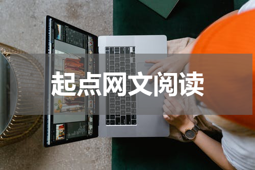 起点网文阅读