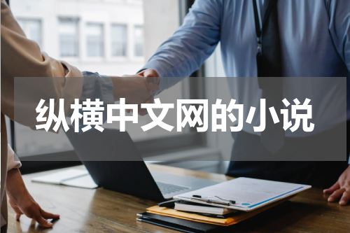 纵横中文网的小说