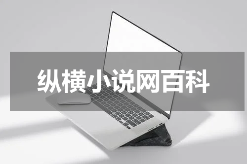 纵横小说网百科