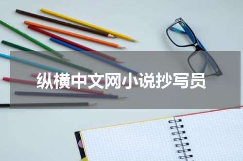 纵横中文网小说抄写员