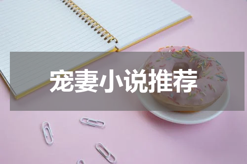 宠妻小说推荐