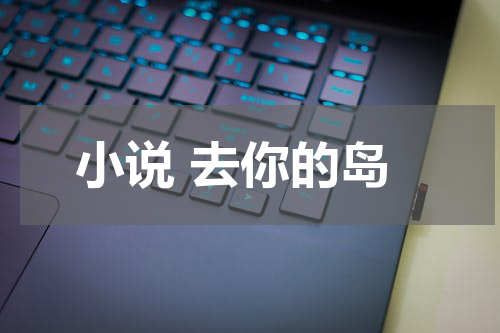小说 去你的岛