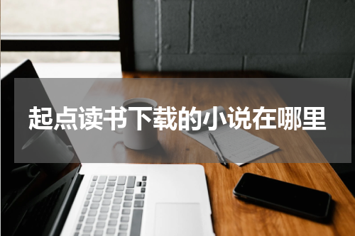 起点读书下载的小说在哪里