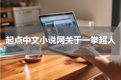 起点中文小说网关于一拳超人
