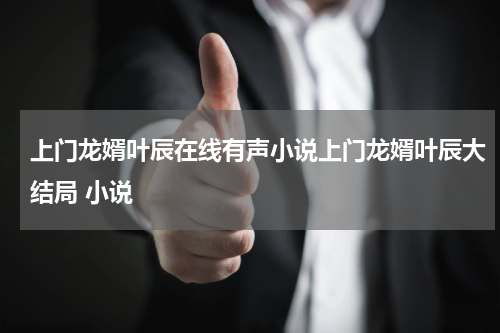上门龙婿叶辰在线有声小说上门龙婿叶辰大结局 小说