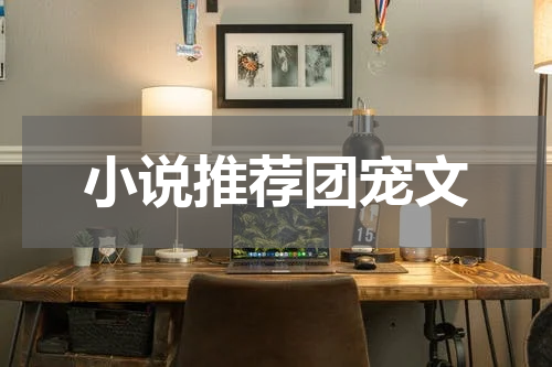 小说推荐团宠文