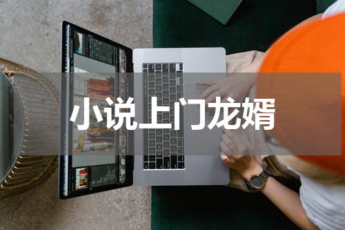 小说上门龙婿