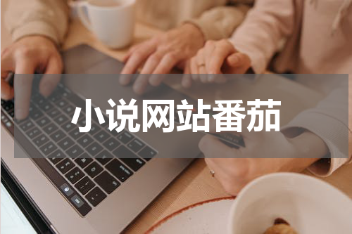 小说网站番茄