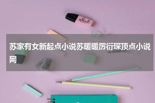 苏家有女新起点小说苏暖暖厉衍琛顶点小说网