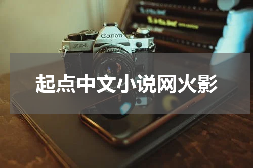 起点中文小说网火影