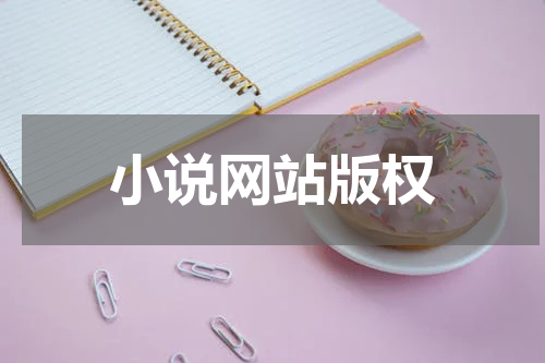 小说网站版权