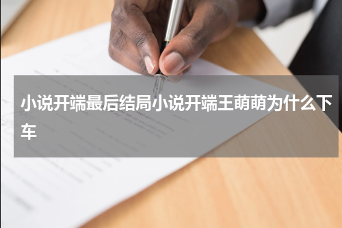 小说开端最后结局小说开端王萌萌为什么下车
