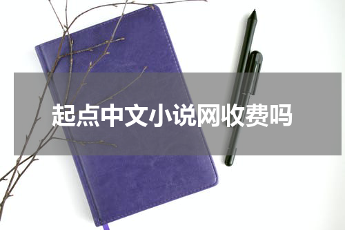 起点中文小说网收费吗