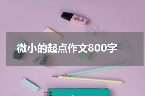 微小的起点作文800字