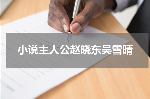 小说主人公赵晓东吴雪晴
