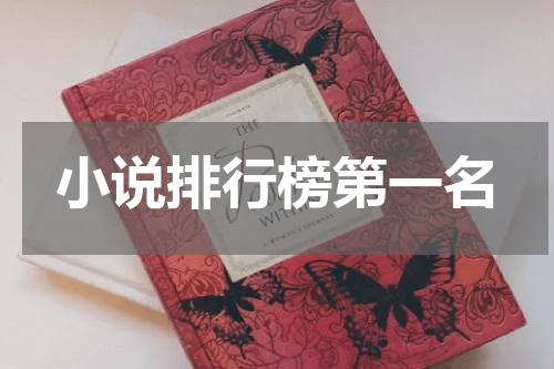 小说排行榜第一名