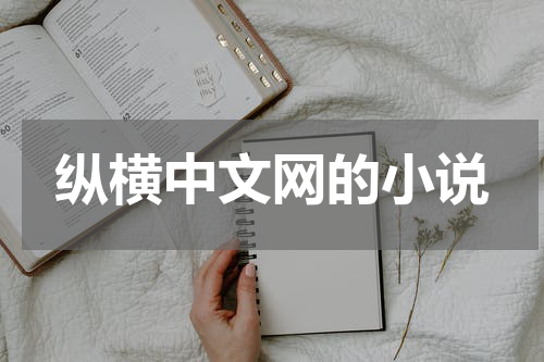 纵横中文网的小说