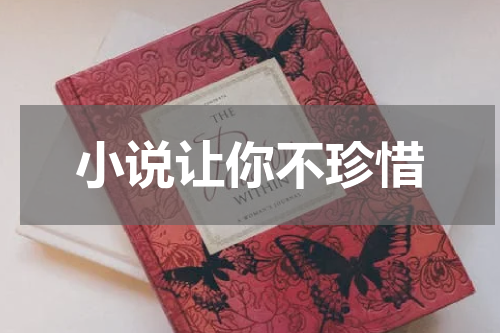 小说让你不珍惜