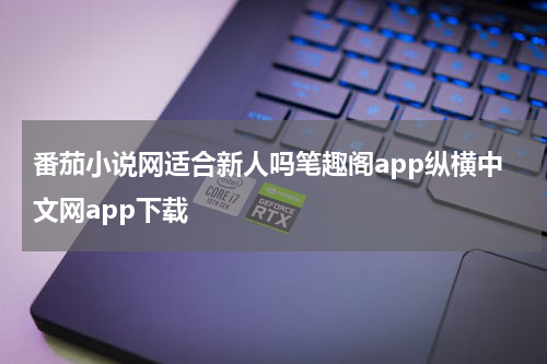 番茄小说网适合新人吗笔趣阁app纵横中文网app下载