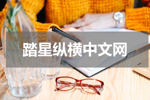 踏星纵横中文网