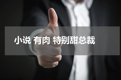 小说 有肉 特别甜总裁