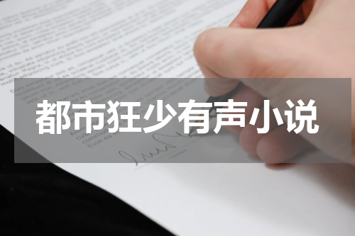 都市狂少有声小说