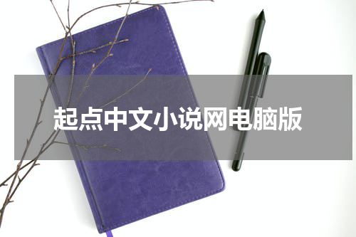 起点中文小说网电脑版