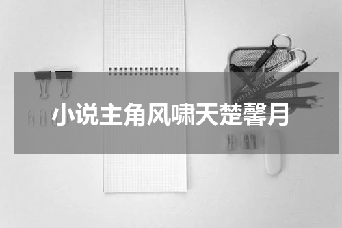 小说主角风啸天楚馨月