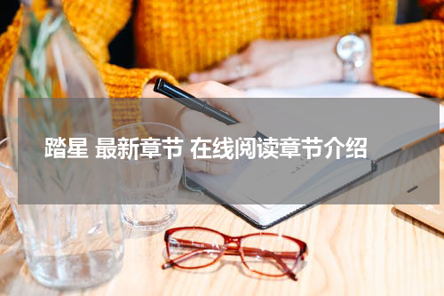 踏星 最新章节 在线阅读章节介绍