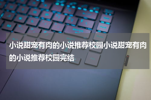 小说甜宠有肉的小说推荐校园小说甜宠有肉的小说推荐校园完结