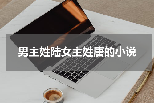 男主姓陆女主姓唐的小说