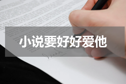 小说要好好爱他