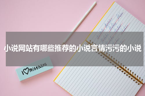 小说网站有哪些推荐的小说言情污污的小说