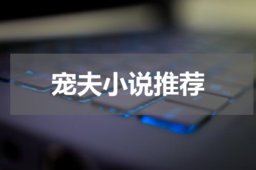 宠夫小说推荐