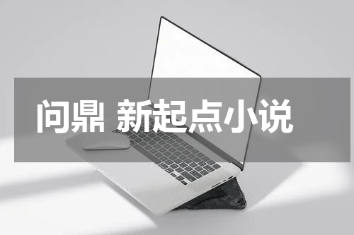问鼎 新起点小说