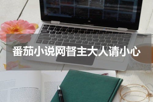 番茄小说网督主大人请小心