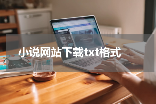 小说网站下载txt格式