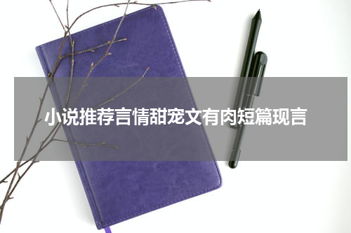 小说推荐言情甜宠文有肉短篇现言