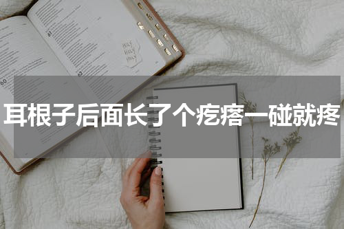 耳根子后面长了个疙瘩一碰就疼