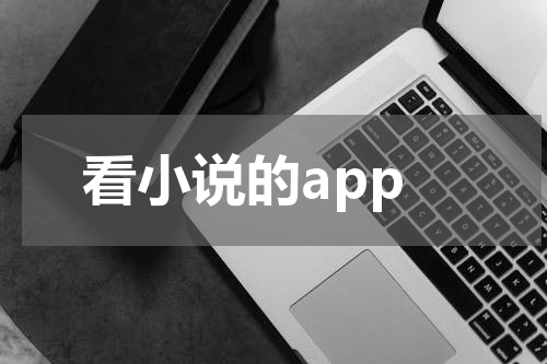看小说的app