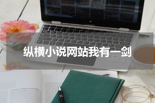 纵横小说网站我有一剑